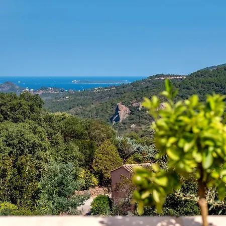 Quercia Grand Confort Dans Oasis De Calme Fréjus